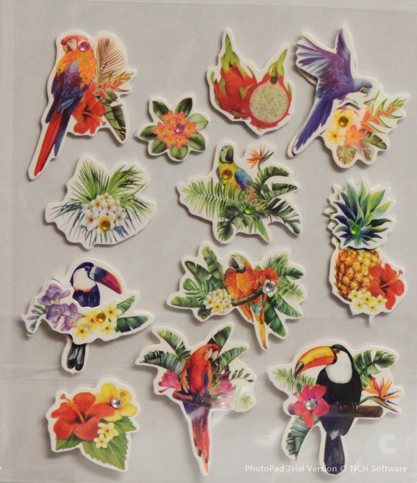 Designer Tropical Birds WIth Gems Dimensional Stickers | Michaels