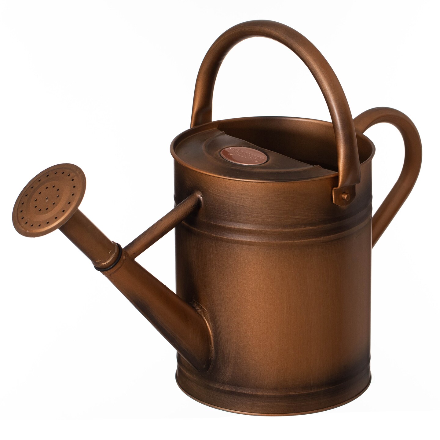 Gardenised 1 Gallon Galvanized Metal Watering Can with Removable Long Spout & Sprinkler Head for Indoor & Outdoor Use Ideal for Garden Flowers Potted Plants Houseplants Modern Home Accessories