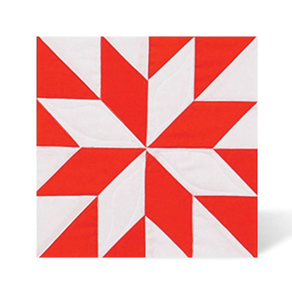 AccuQuilt GO! LeMoyne Star 9" Finished Die – Quilting Fabric Cutting Die for Star Quilt Blocks, Block on Board (BOB)