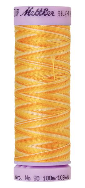 Horizon (9075-9827) | Silk-Finish Cotton Multi 50wt (100M / 109Y) | Mettler Thread