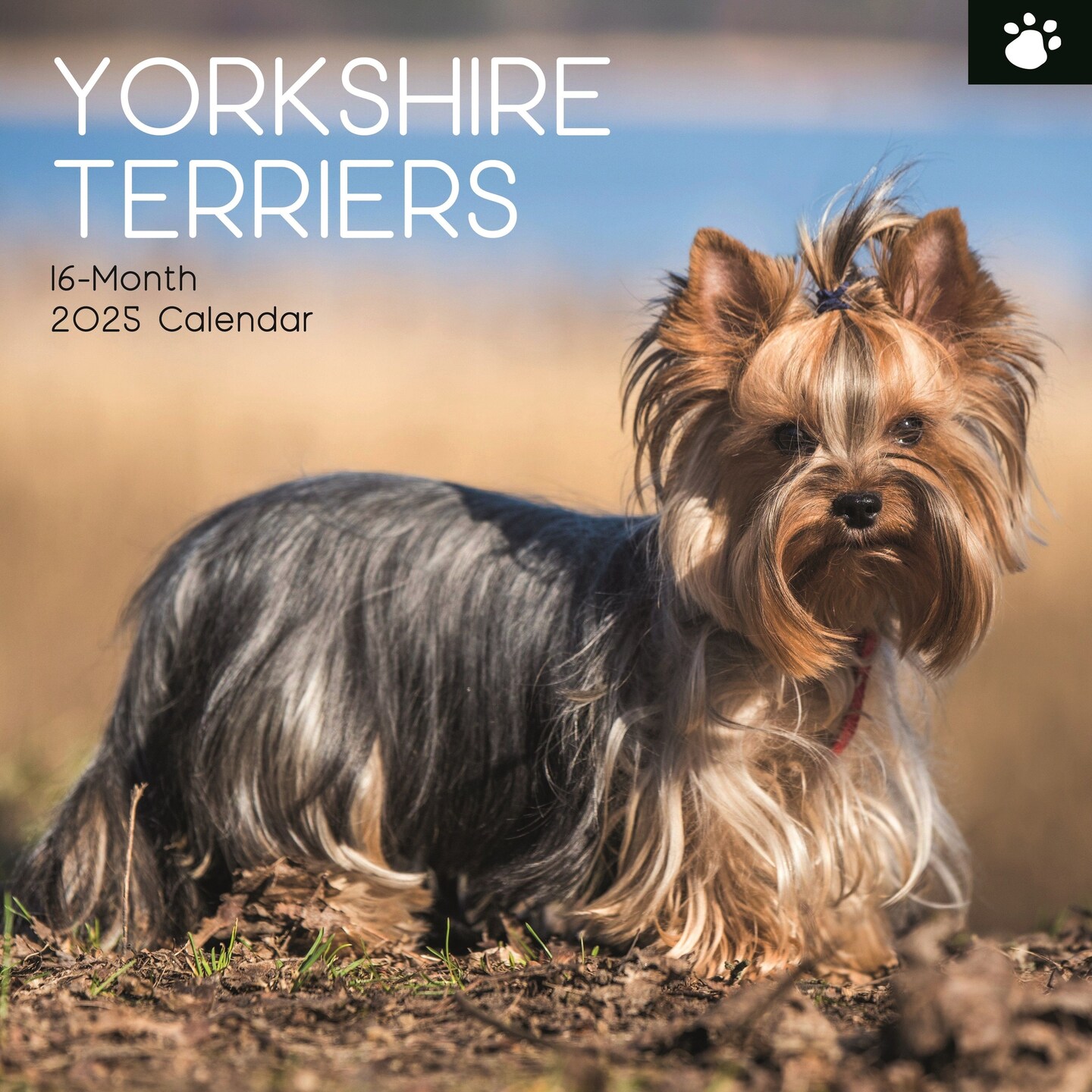 The Gifted Stationary 2025 Square Wall Calendar, Yorkshire Terriers, 16-Month Animals Theme Hanging Calendar with 180 Reminder Stickers, Month Planner for Home, or Creative Spaces, 12x12 In