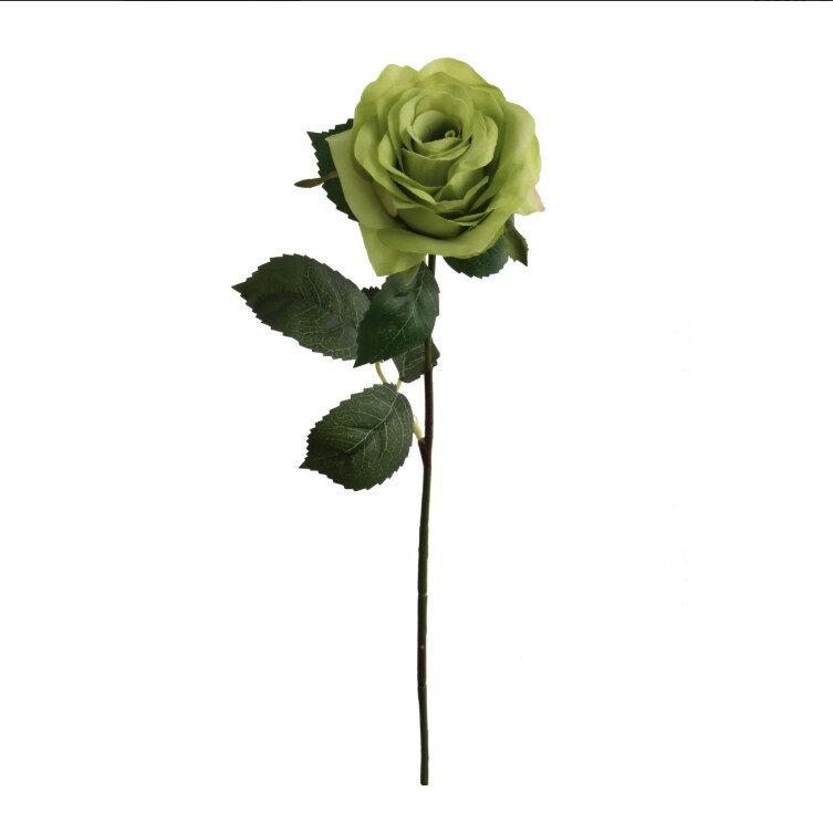 20&#x22; Open Rose Stem - 12 PACK