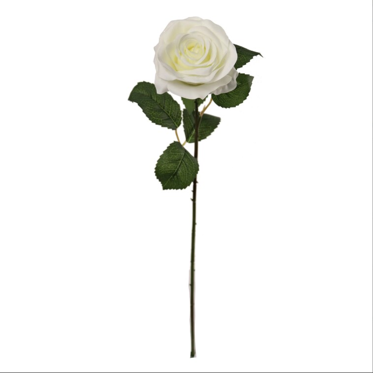 20&#x22; Open Rose Stem - 12 PACK