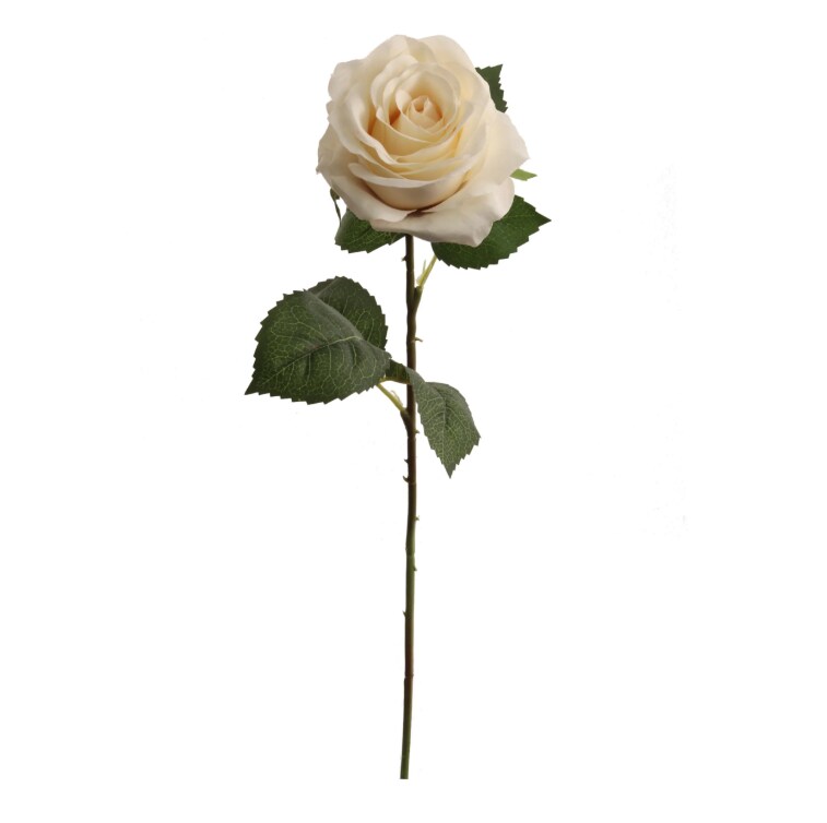 20&#x22; Open Rose Stem - 12 PACK