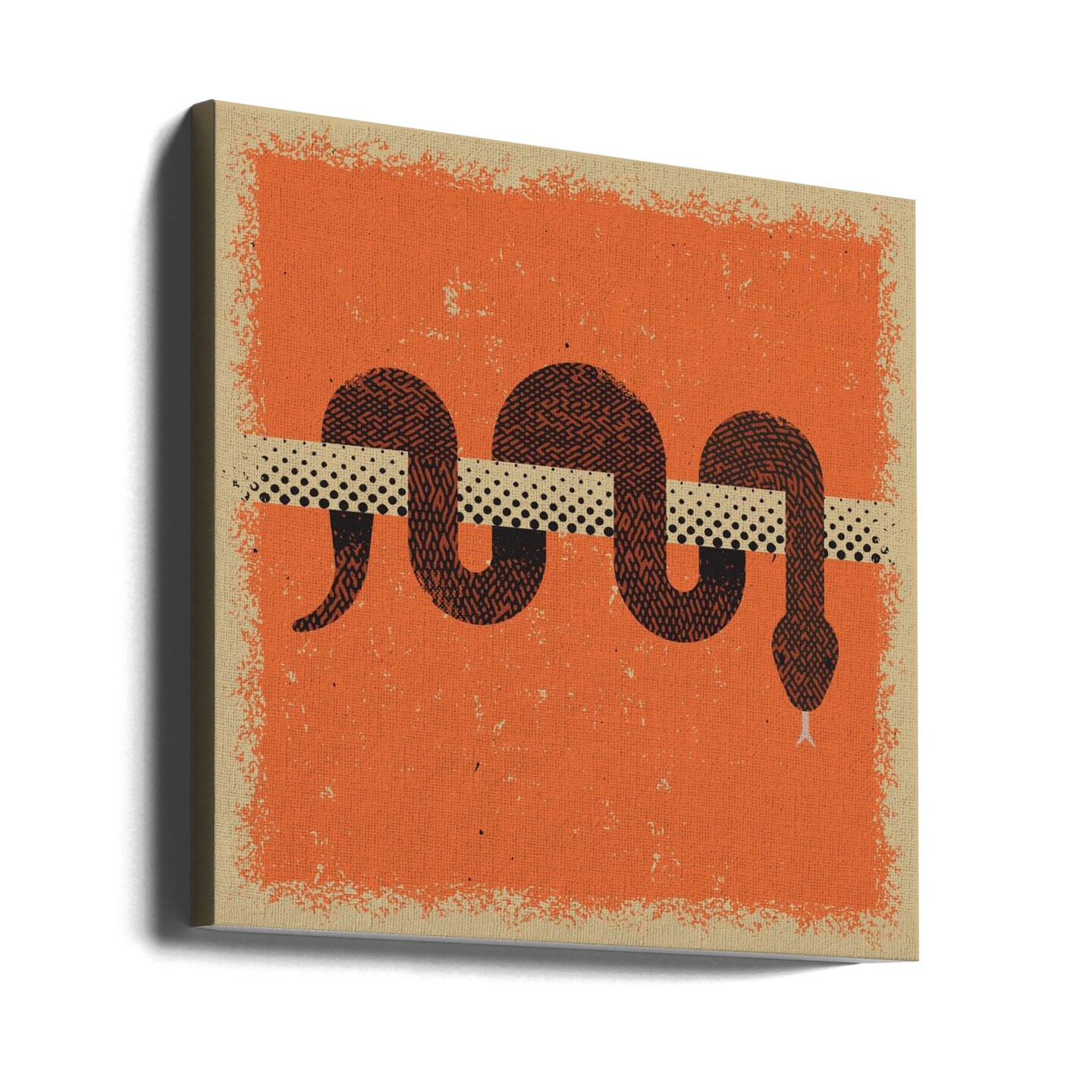 Snake 2 Square 24x24 Canvas - Corporate Office Art