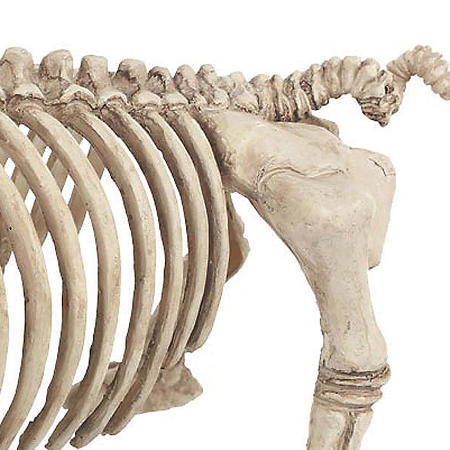 Pig Skeleton Farmyard Halloween Decoration for Spooky Party Displays