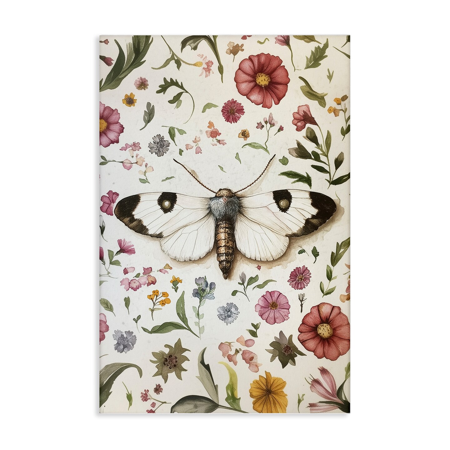 Stupell Industries White Moth & Botanicals Canvas Design by The Dutch Lady