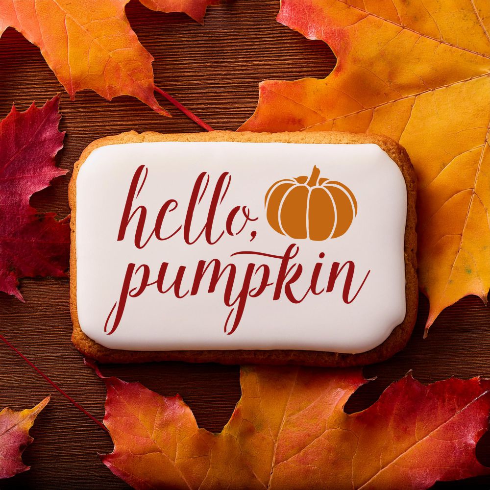 Hello Pumpkin Cookie &#x26; Craft Stencil | CM157 by Designer Stencils | Cookie Decorating Tools | Baking Stencils for Royal Icing, Airbrush, Dusting Powder | Craft Stencils for Canvas, Paper, Wood | Reusable Food Grade Stencil