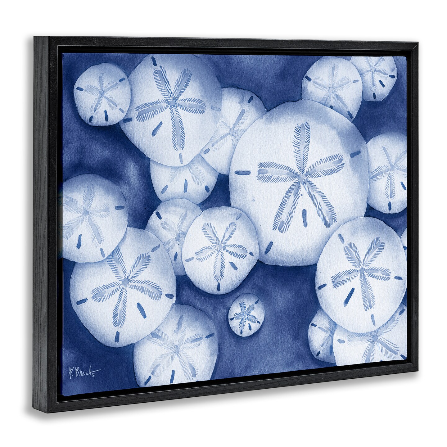 Stupell Industries Watercolor Style Sand Dollars Floating Frame Design by Paul Brent