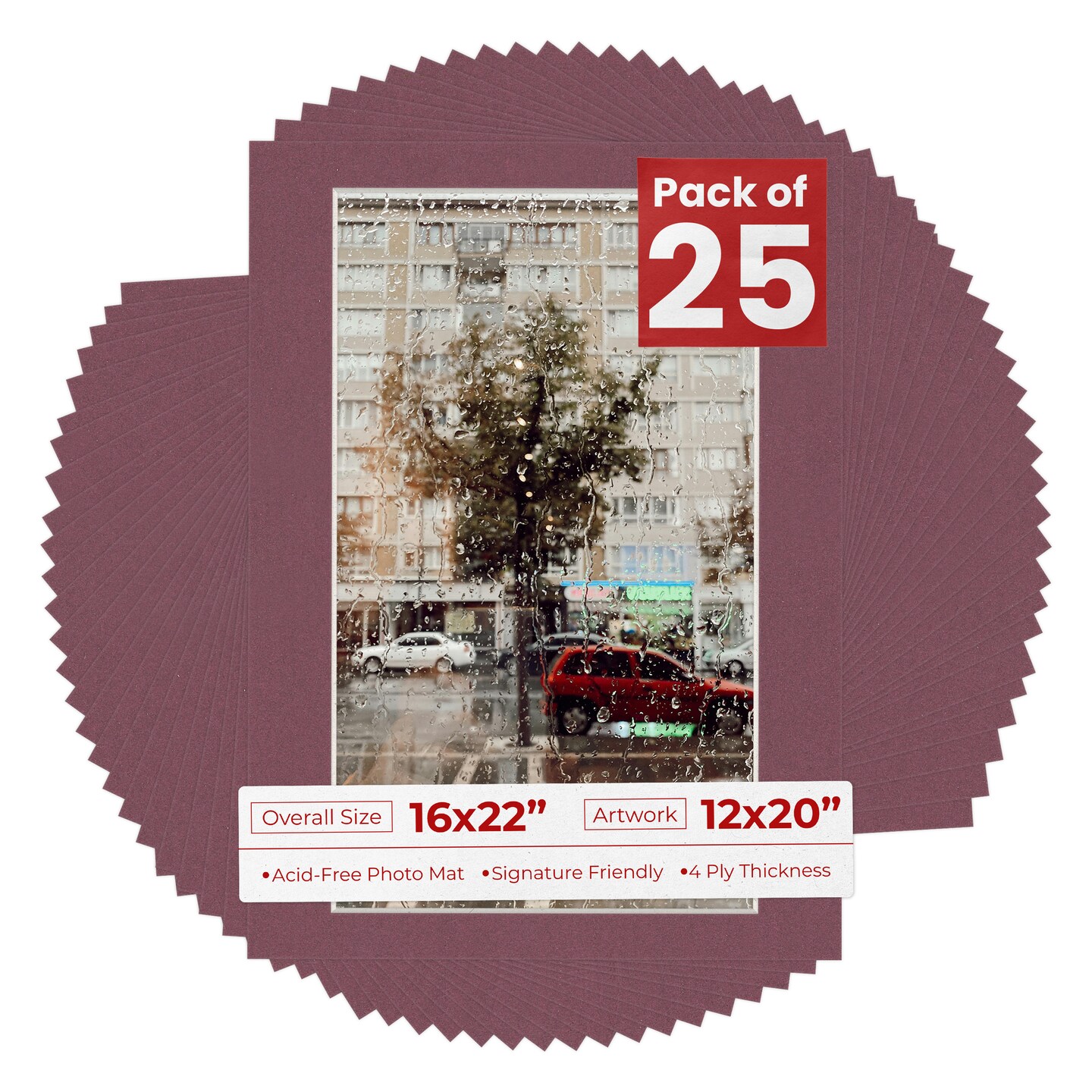 12x20 Raspberry Raspberry Red Mat Board for 16x22 Frames - Fits 12x20 Photos, Color ...