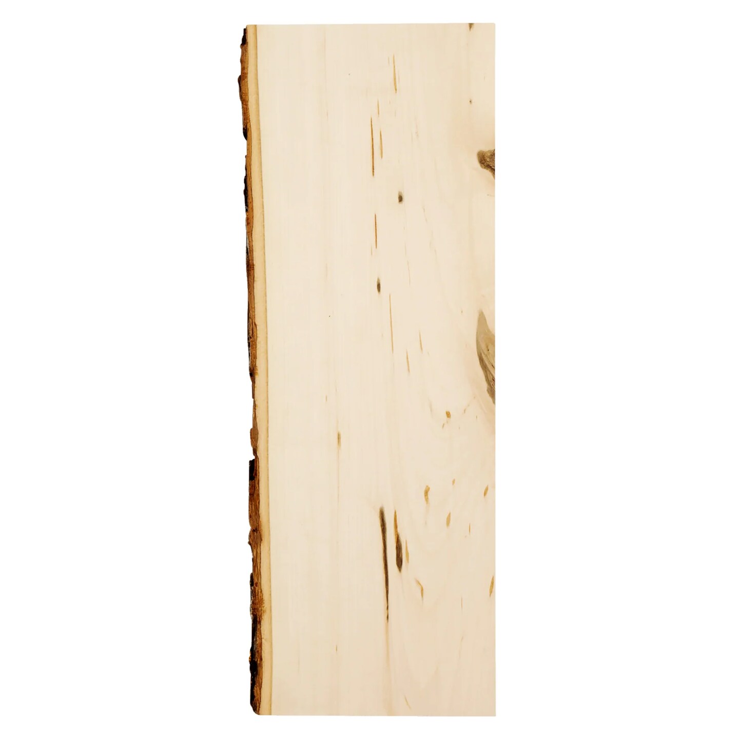 Rustic Basswood Live Bark Edge Plank 4-Pack, 23" Long for Signs and Shelves