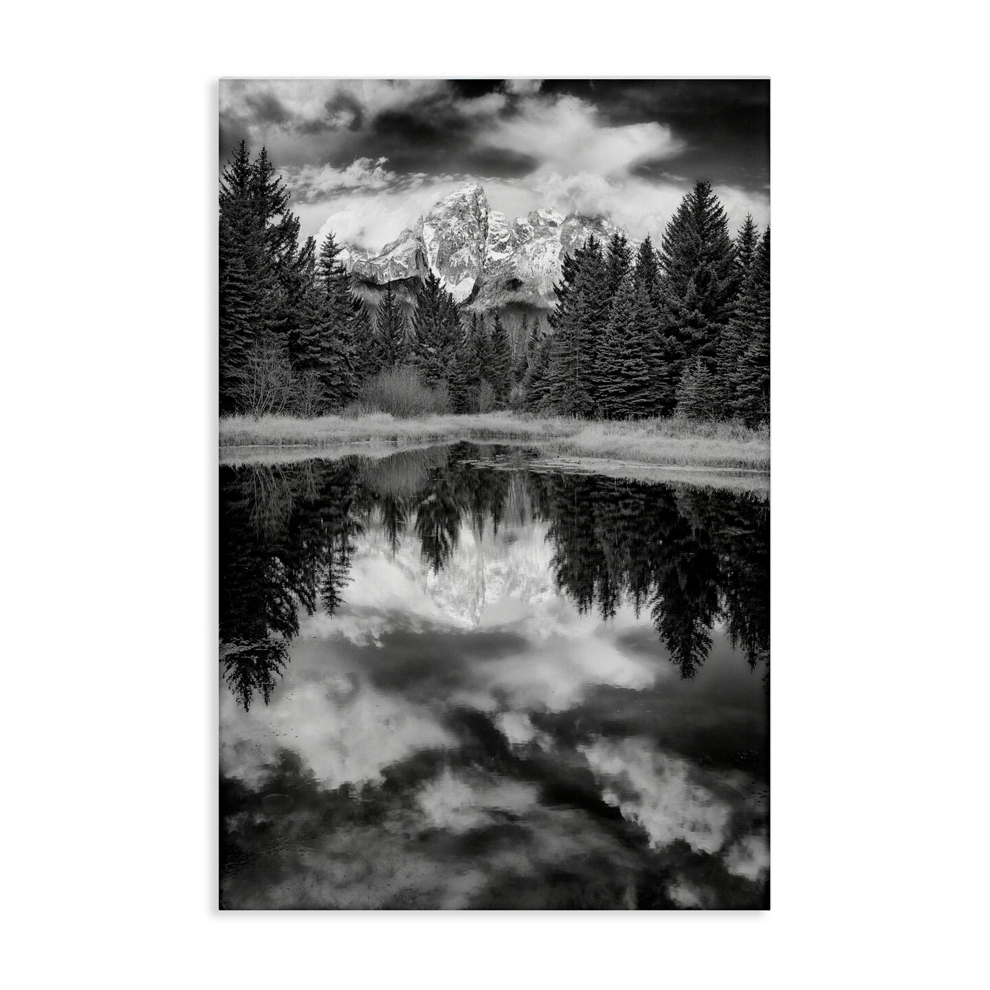 Stupell Industries Black & White Forest Reflection Canvas Wall Art Design by Rick Berk