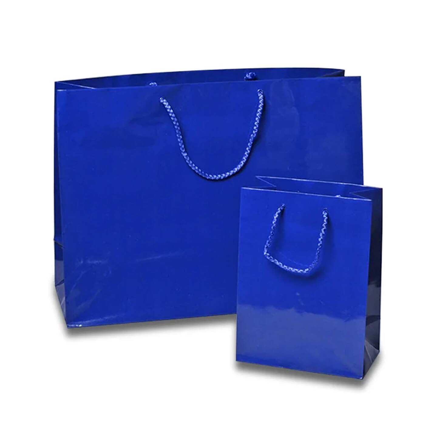 16&#x27;&#x27; x 6&#x27;&#x27; x 12&#x27;&#x27; Glossy Euro Totes for Boutique Style Gifting