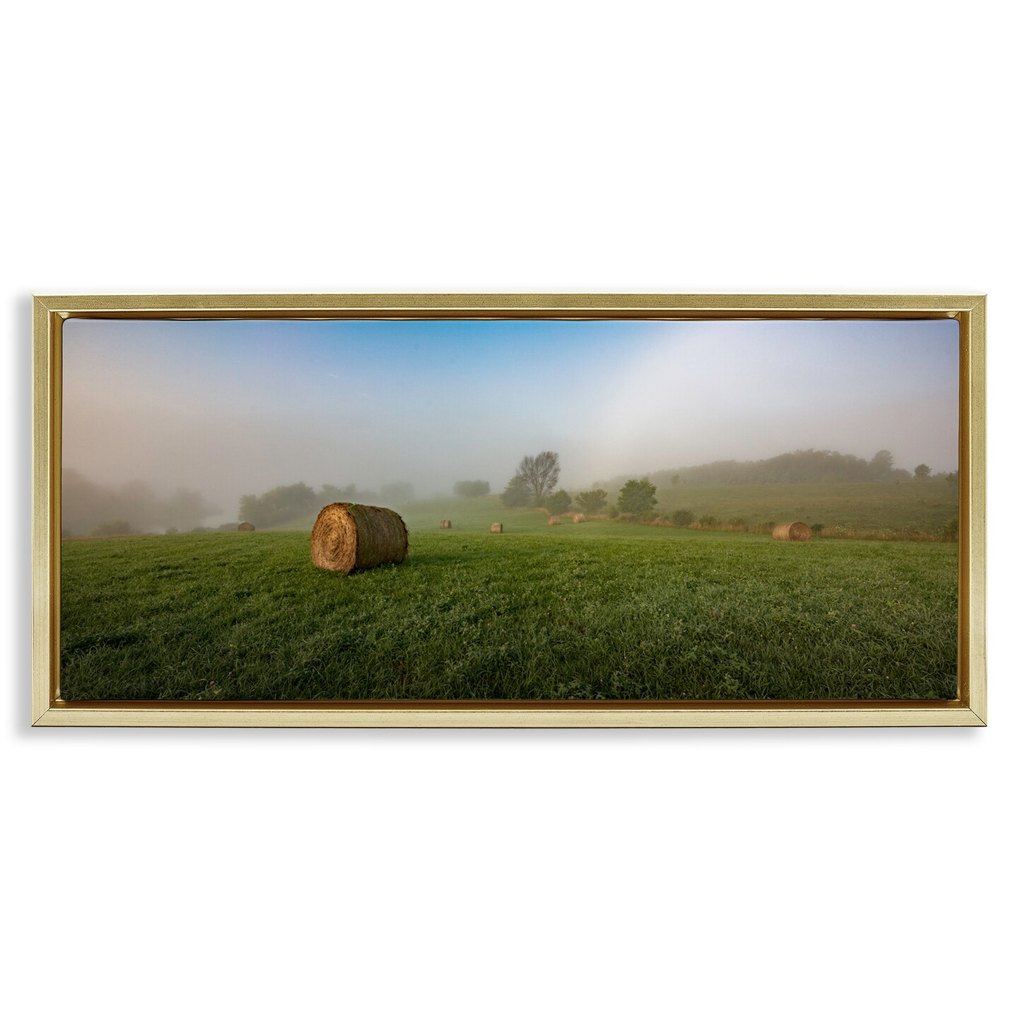 Stupell Industries Hay Bales Country Horizon Framed Floater Canvas Wall Art Design by Marty Hulsebos