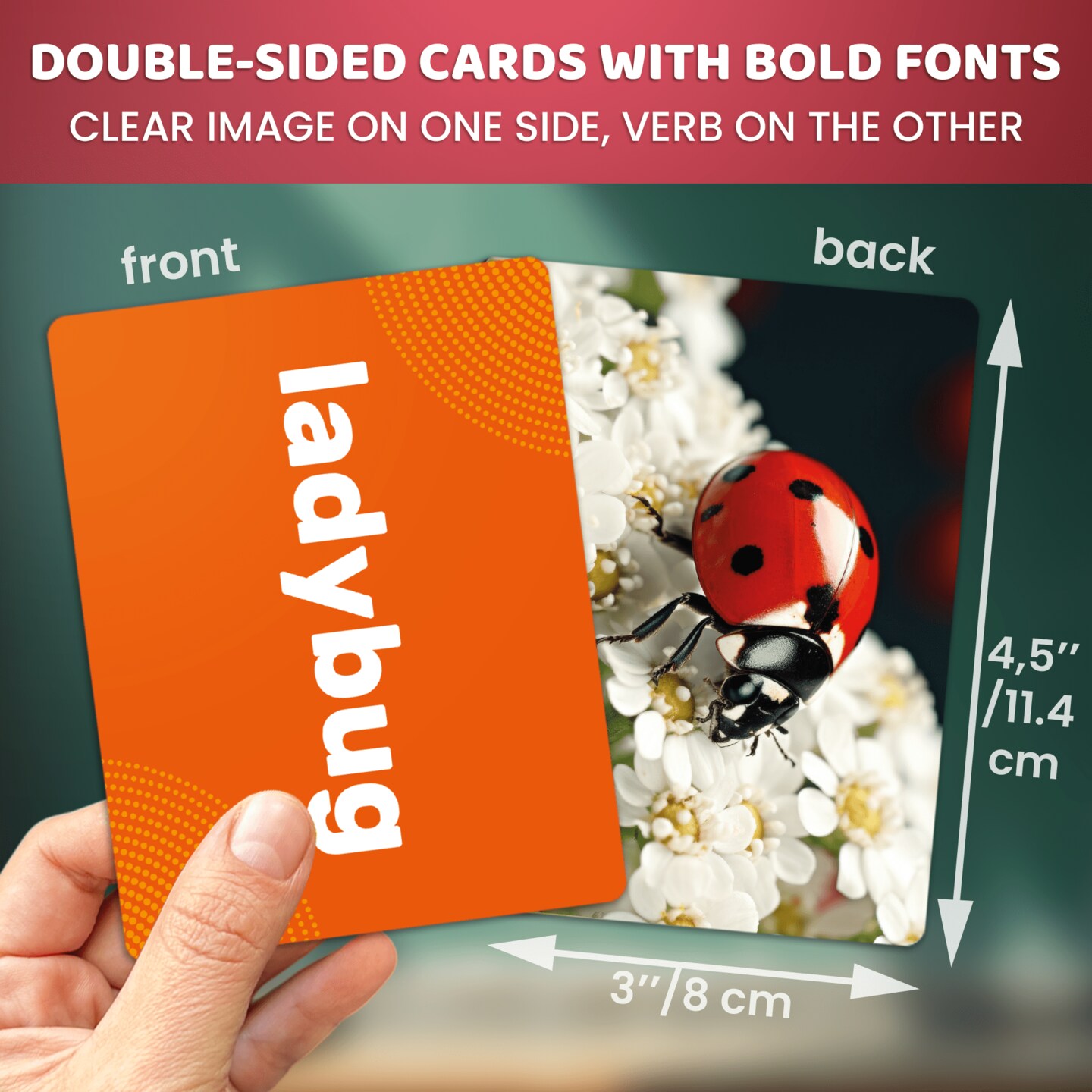 104 Animals Flash Cards Set for Speech Therapy