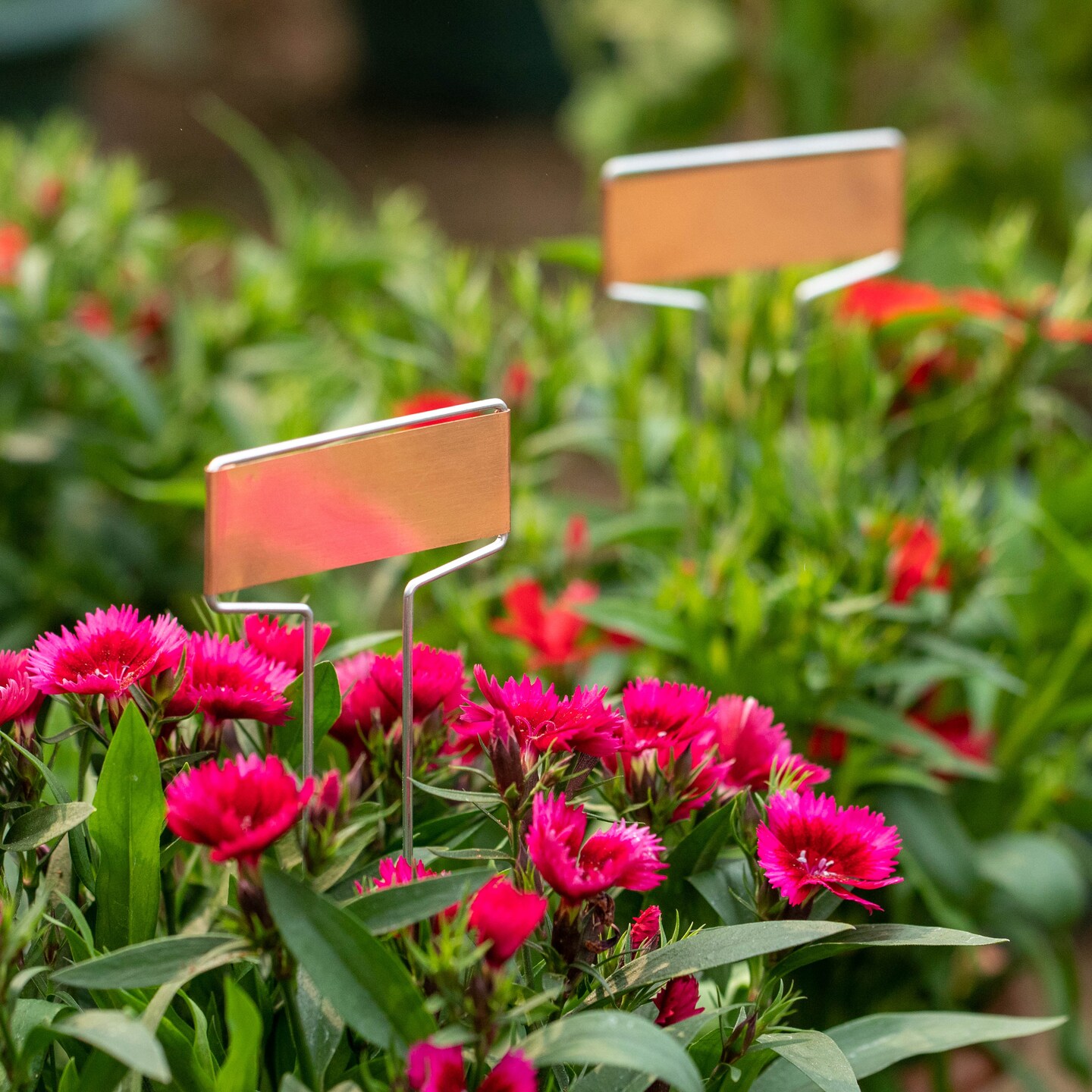 Gardenised 25-pcs Weatherproof Plant Markers Labels for Seedlings Vegetables Herbs Flowers Planters &#x26; Pots Ideal for Greenhouses Nurseries Botanical &#x26; Community Gardens Outdoor Gardening &#x26; Landscaping