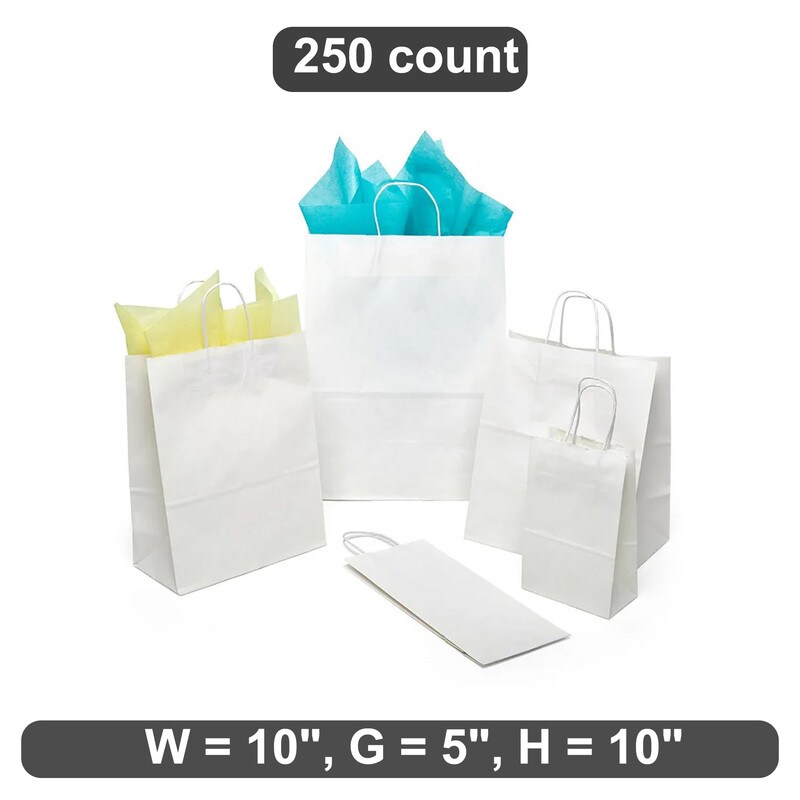 Premium Plain White Kraft Shopping Bag 10&#x22; x 5&#x22; x 10&#x22;