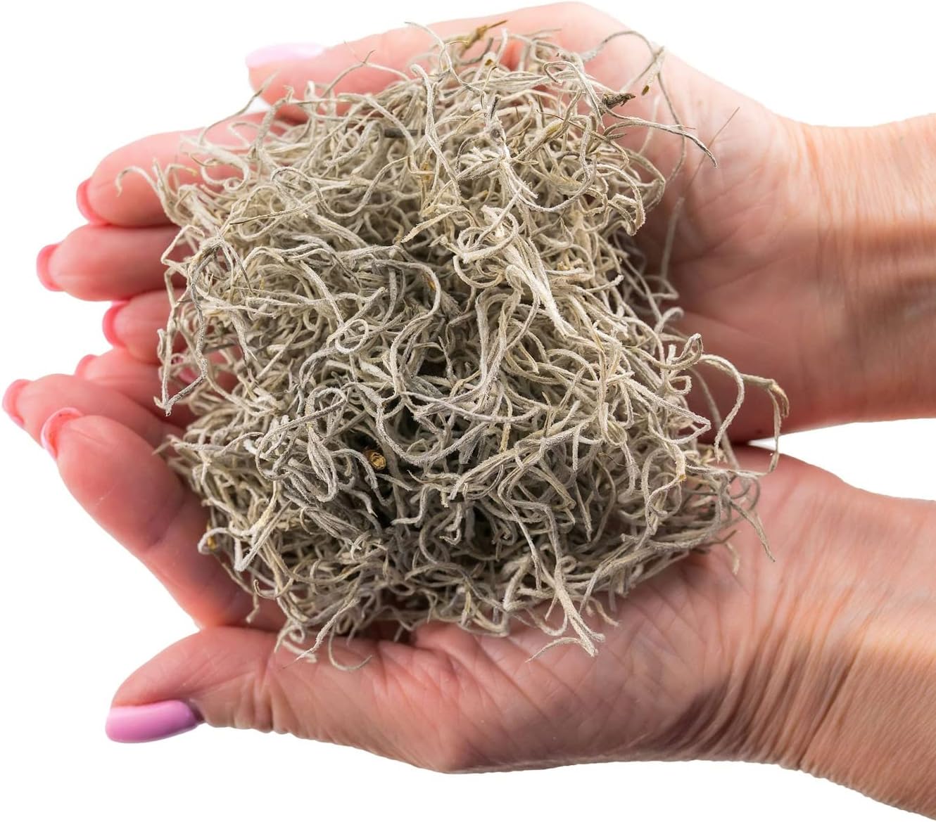 Premium Natural Spanish Moss | Natural Preserved - Great Ground Cover - Filler for Potted Plants