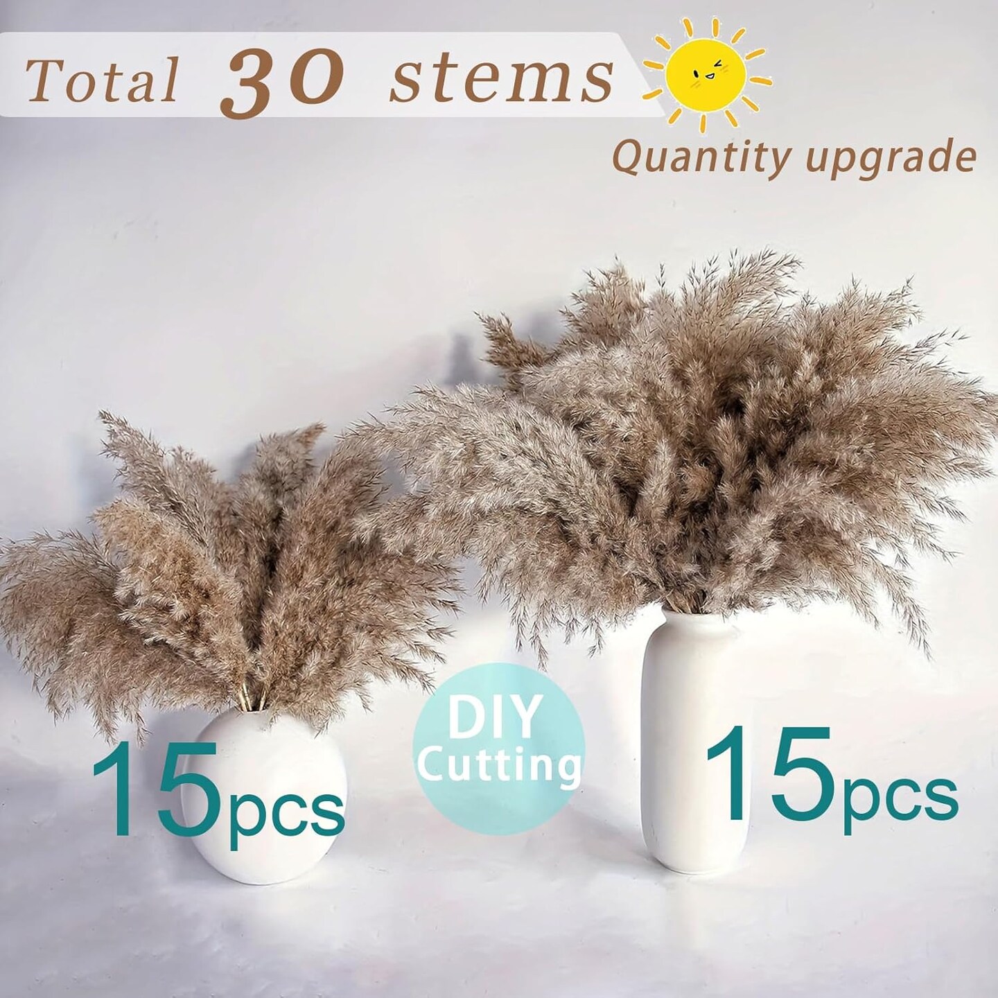 30 Stems Home Decor - Natural Dried Pampas Grass, Fluffy Brown Pompas Grass, Dry Small Pampas Bulk for Living Room Table Decor