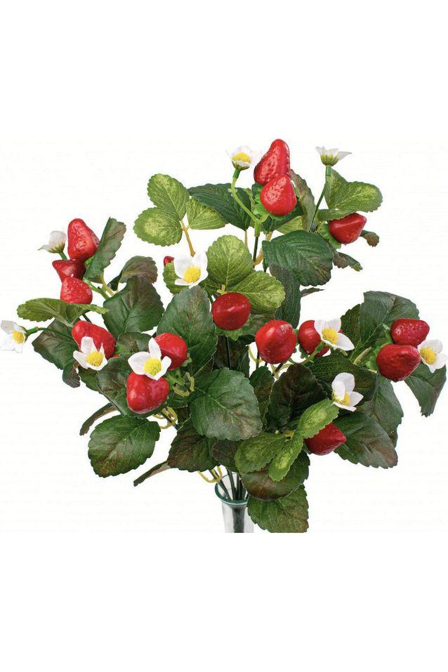 17&#x22; Strawberry Bush