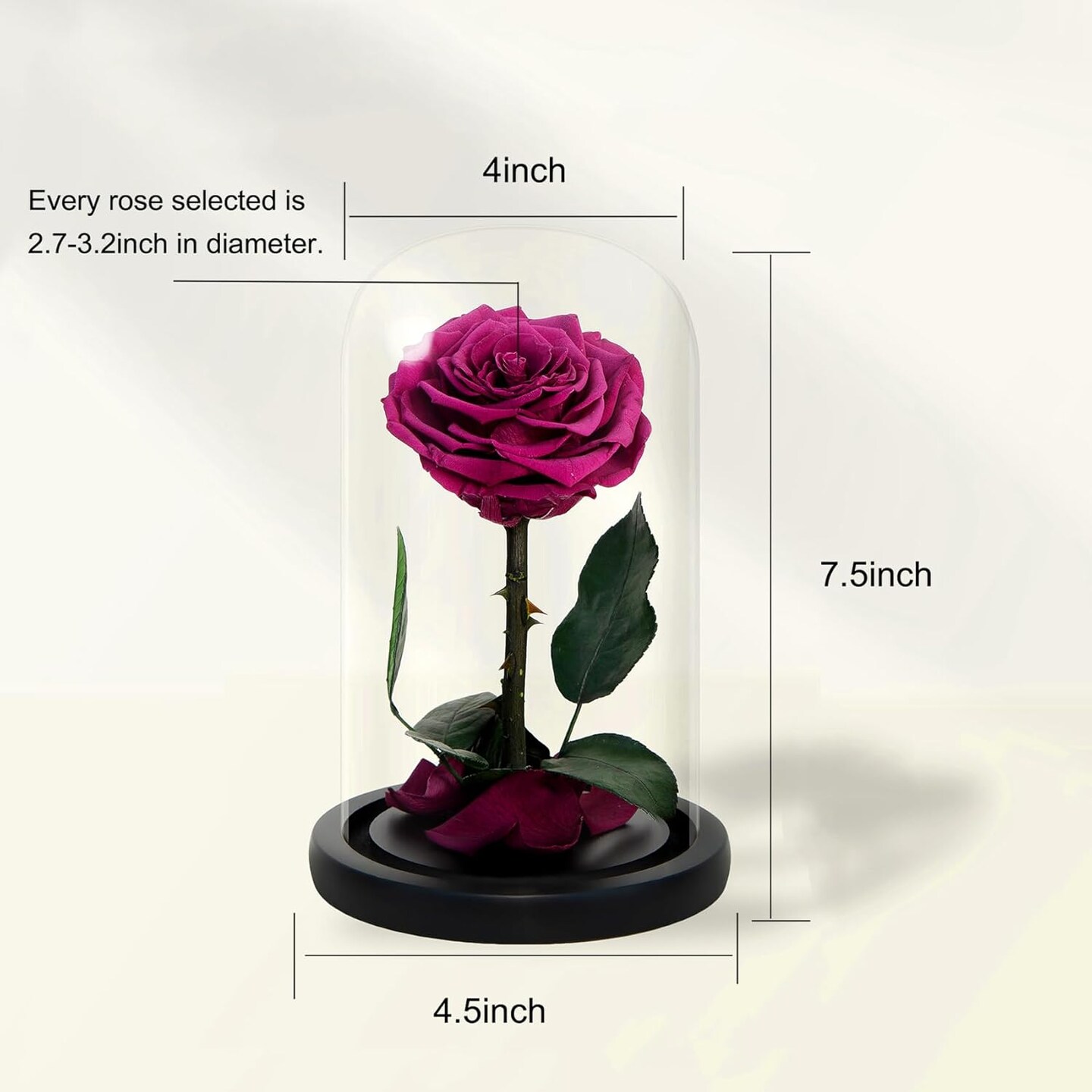 Handmade Preserved Roses in Glass Dome, Long Lasting Pink Roses Real, Flowers for Women