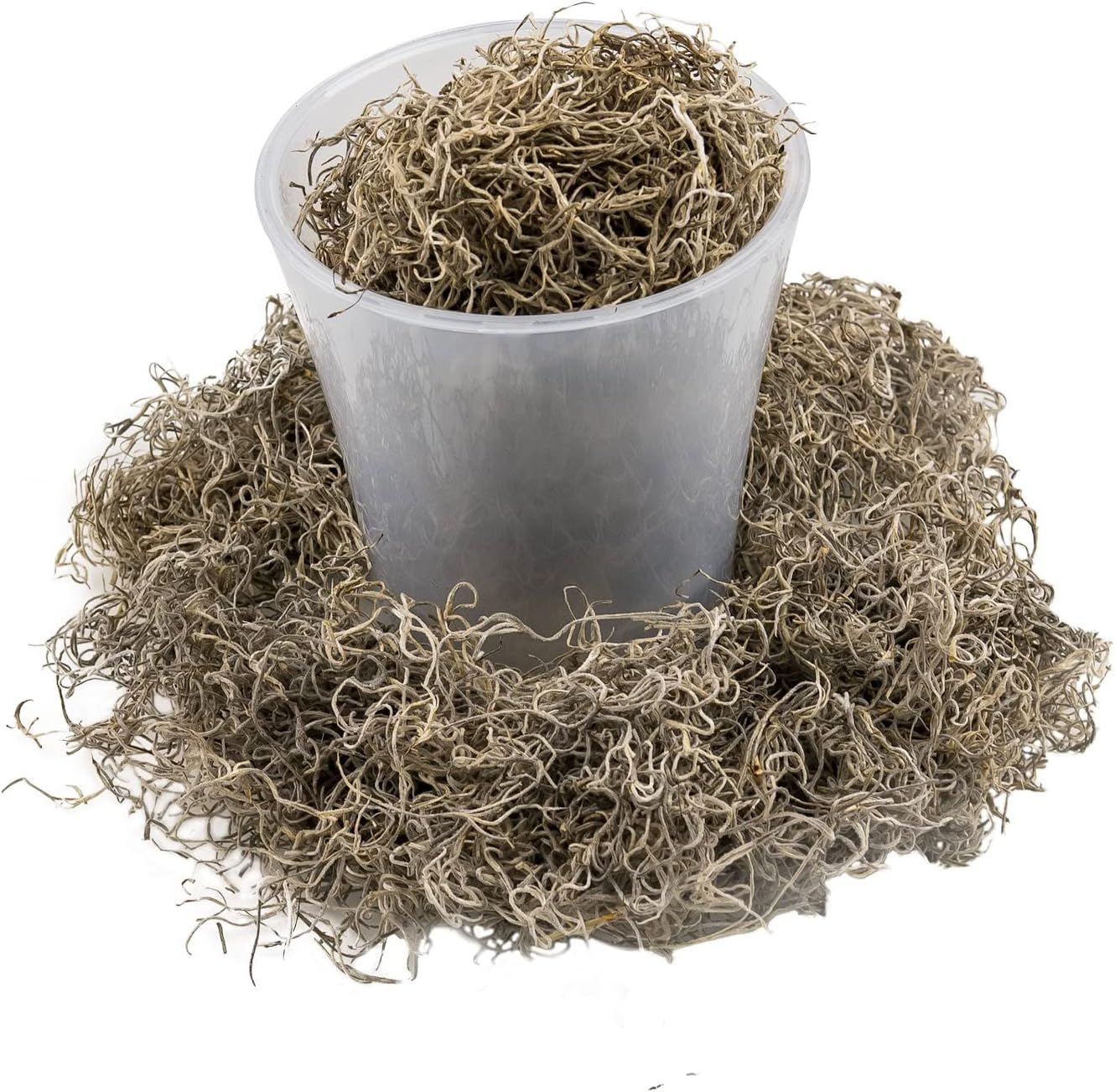 Premium Natural Spanish Moss | Natural Preserved - Great Ground Cover - Filler for Potted Plants