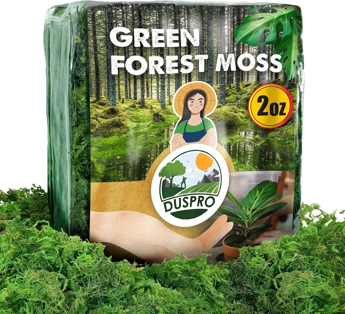 Green Moss for Crafts Decorative Filler planters Decor Artificial Table Centerpieces Wedding Christmas Fairy Party Decor