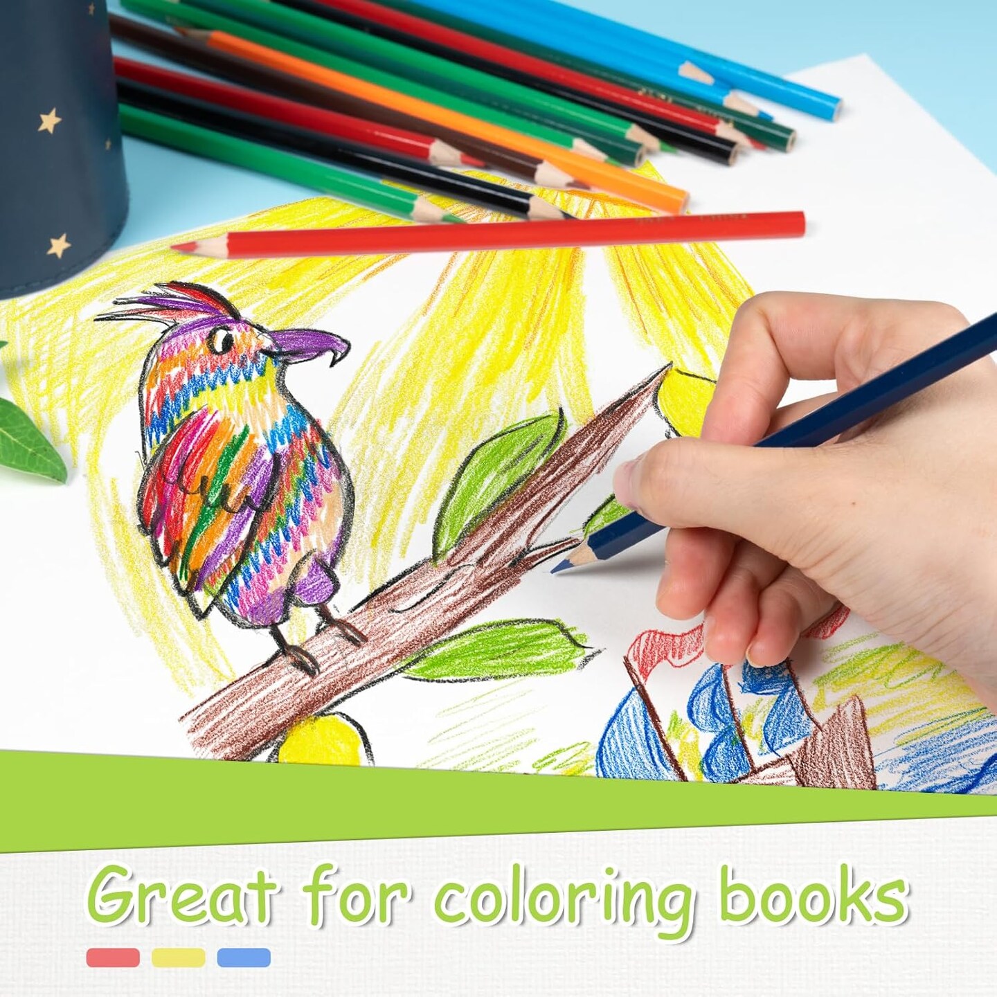Colored Pencils Bulk 12 Assorted Colors Coloring Pencils Set for Kids Adults Drawing Pencils for Sketch, Woodcase Lead Pencils Arts 240 Count