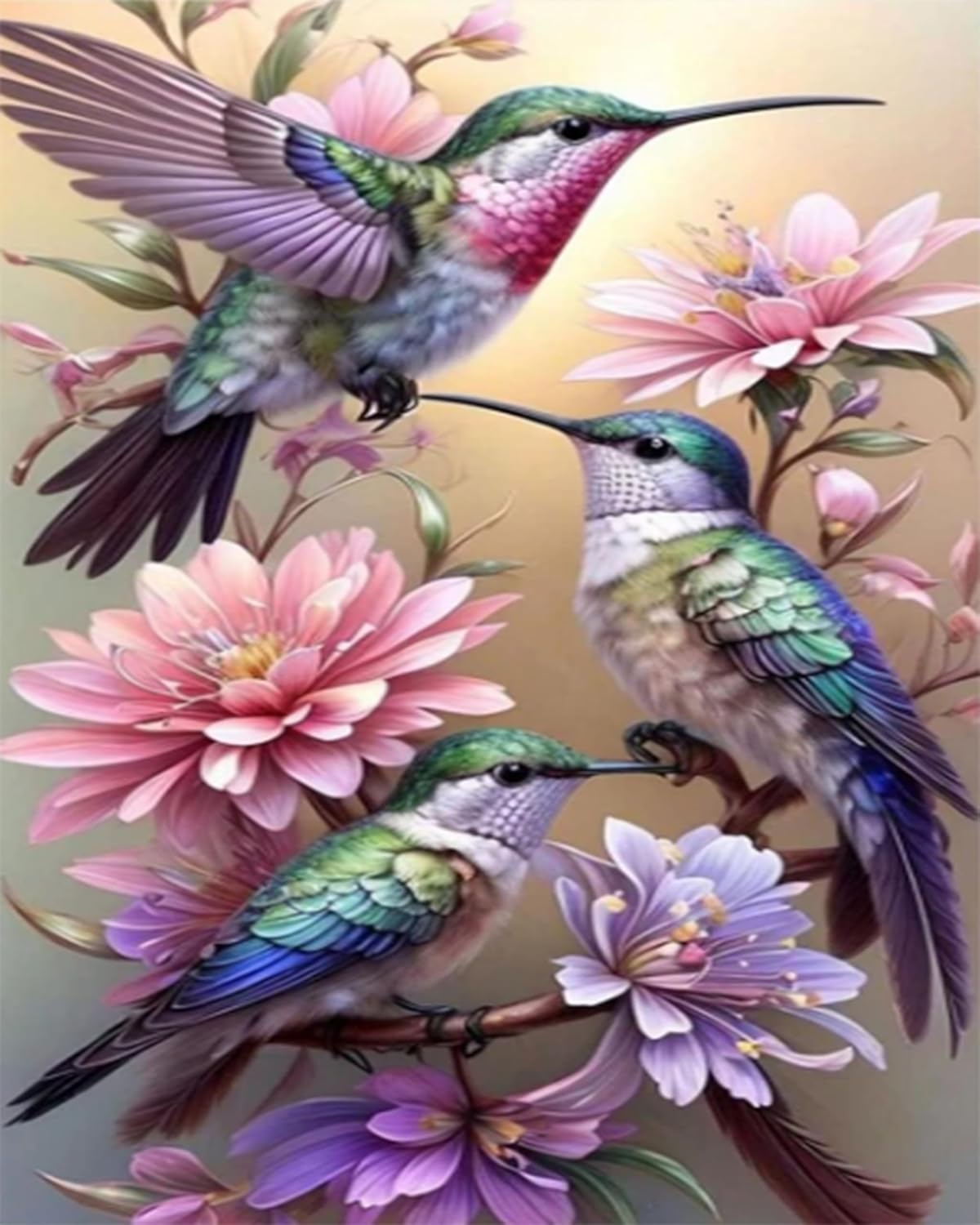 Hummingbird Paint by Numbers Kit for Adults- Adult Paint by Number Kits Bird, Hummingbirds DIY Acrylic Painting by Numbers for Home Decor (16x20in)
