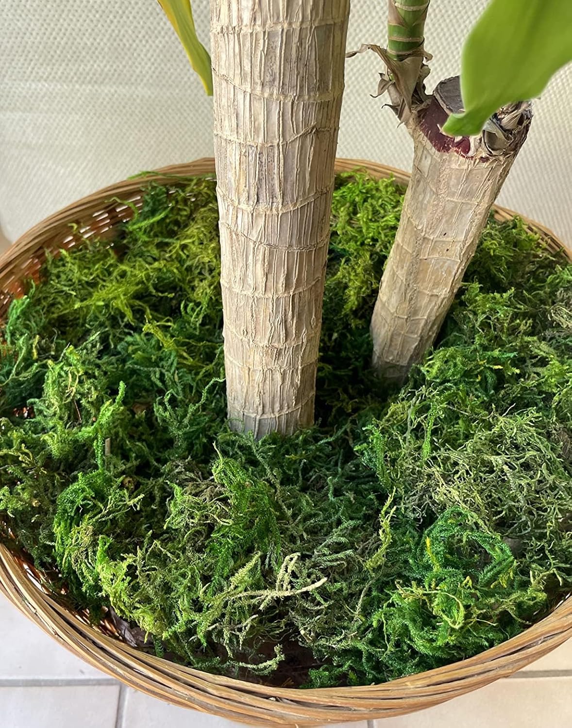 Artificial Moss, 17.6 OZ Green Moss for Decorating, Faux Moss for Crafts, Decorative Moss for Plants Indoor, Table Centerpieces, Fairy Garden Wedding Decor