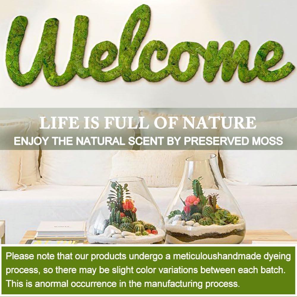 Preserved Moss for Crafts Green Reindeer Moss for Potted Plants, Craft Decorative Moss Decor for Wall Art, Dried Moss