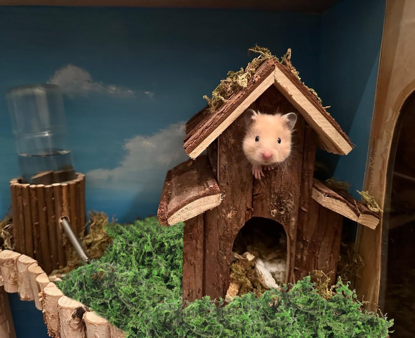 Artificial Moss, 17.6 OZ Green Moss for Decorating, Faux Moss for Crafts, Decorative Moss for Plants Indoor, Table Centerpieces, Fairy Garden Wedding Decor