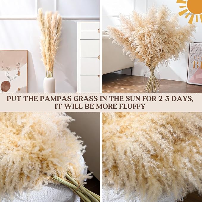 12pcs 40'' Dried Pampas Grass Decor - Tall-Large Pampas Grass - Natural Beige - Boho Home Decor