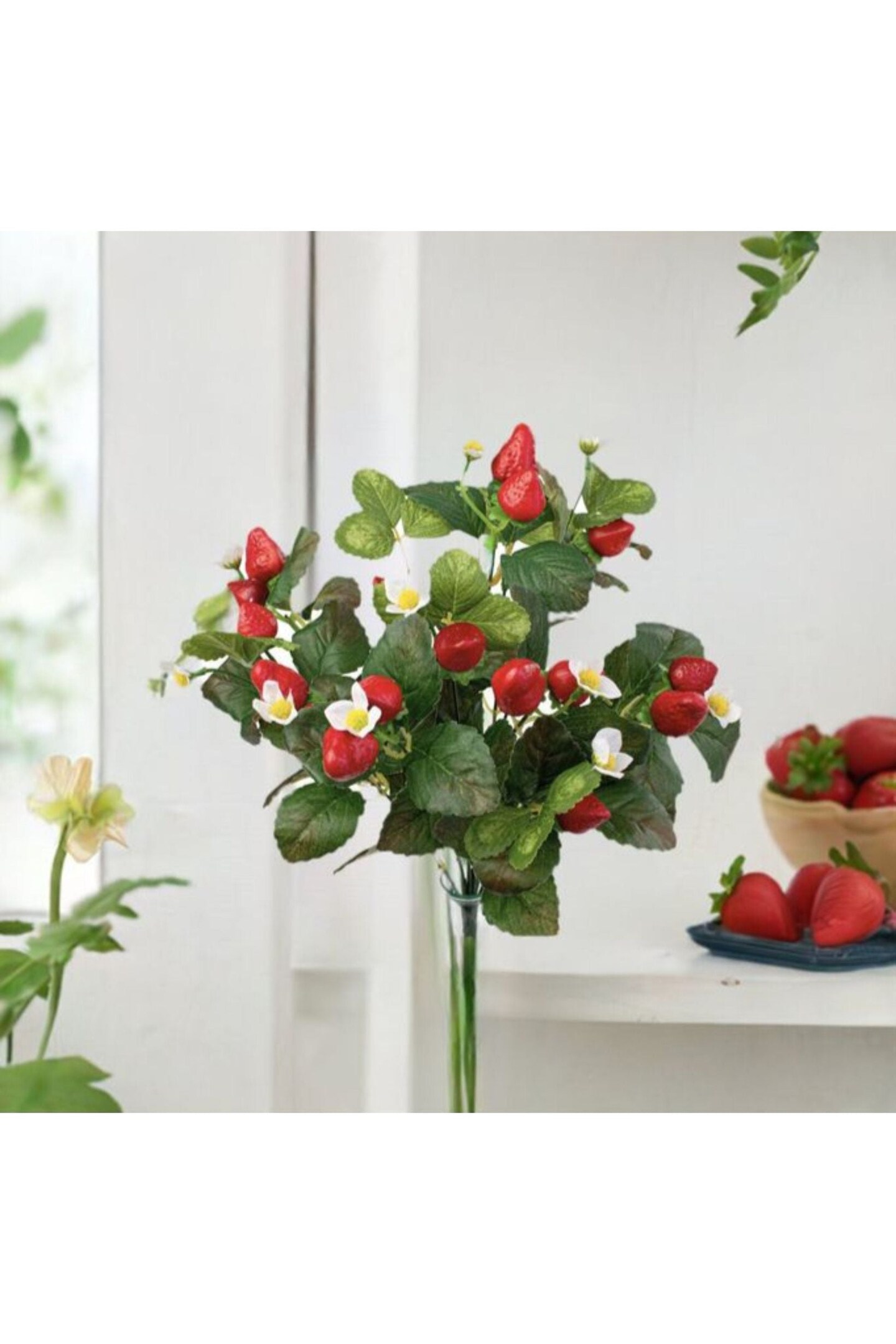 17&#x22; Strawberry Bush