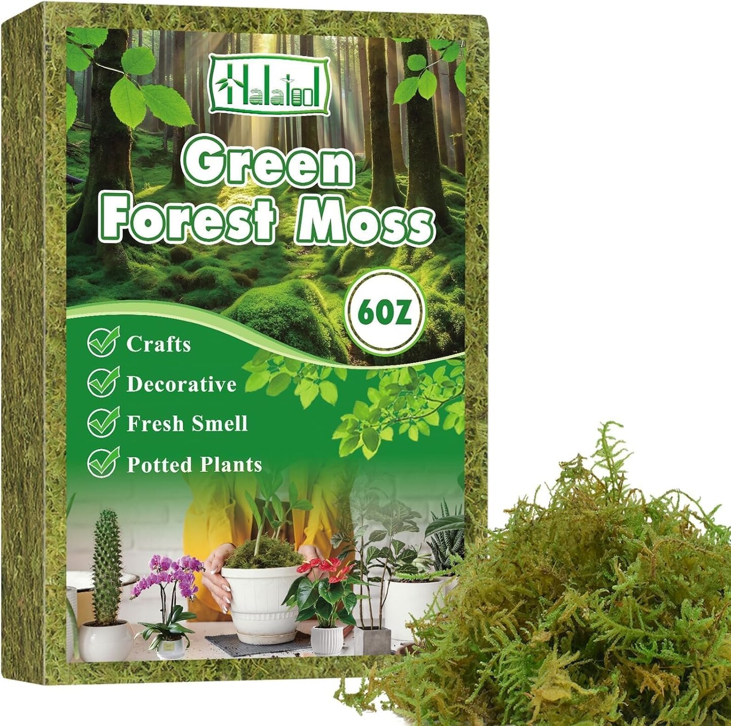 Green Moss for Indoor Plants, 8QT Orchid Moss for Repotting, Forest Moss for Potted Plants, Real Moss for Succulent Carnivorous Houseplant Terrariums Garden Reptiles