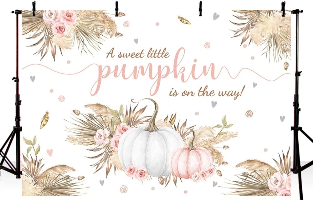7x5ft Autumn Boho Little Pumpkin Backdrop for Girl Baby Shower Fall Leaves