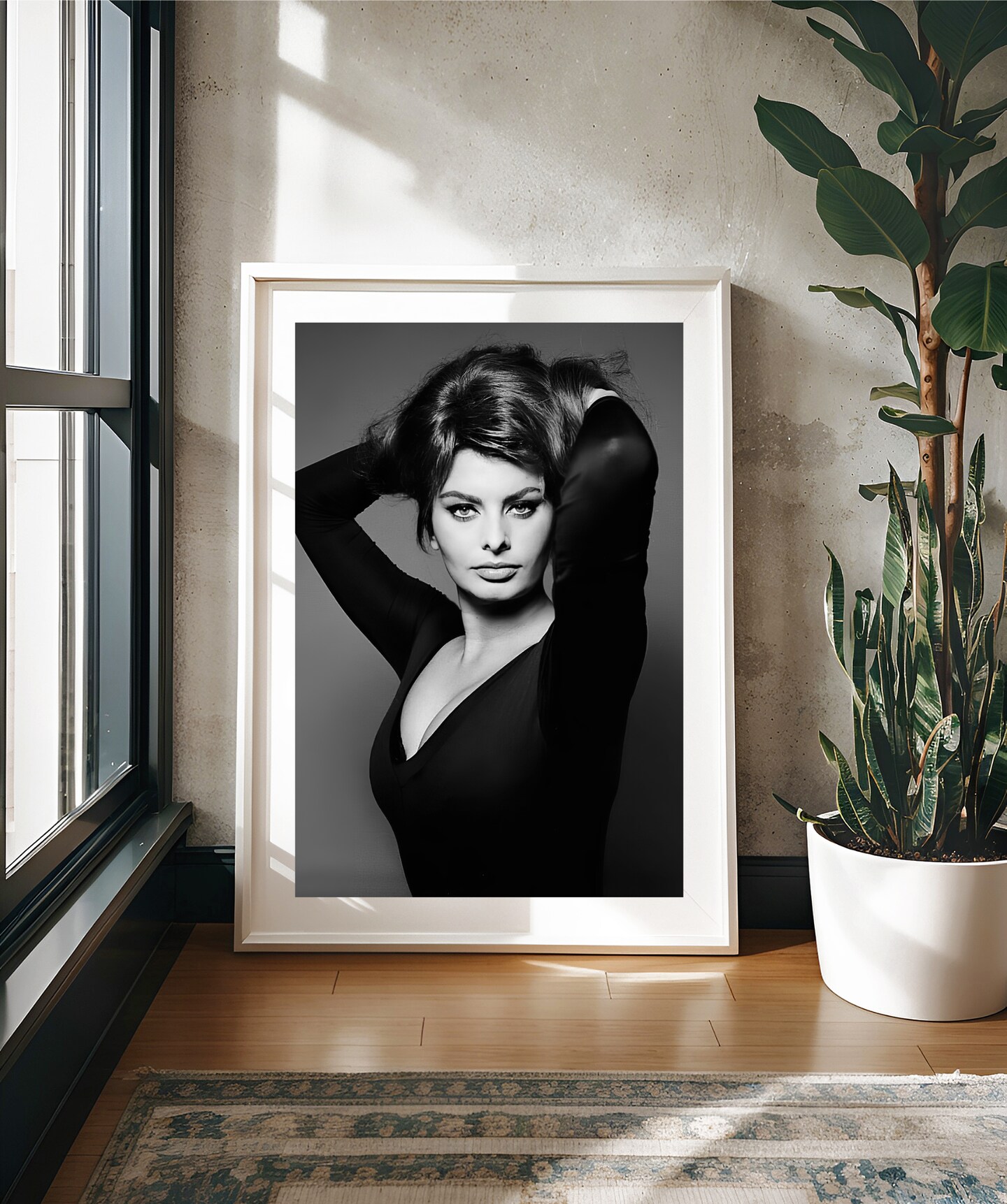 Sophia Loren studio photo early c. 1960's, black and white