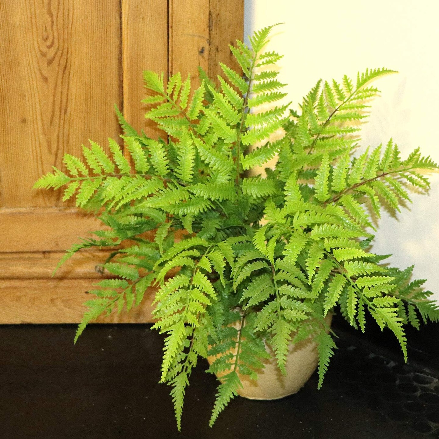 2PC All Weather Boston Fern Plant With 7 Silk Fronds - 28" Wide