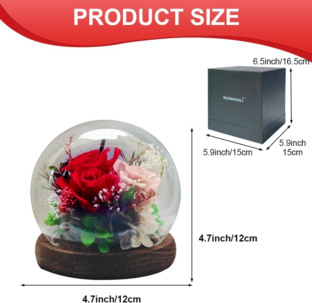 Preserved Flowers in Glass Dome, Long-Lasting Eternal Roses Birthday Gifts for Women Mom Grandma Wife Girlfriend Forever Flowers for Delivery Prime