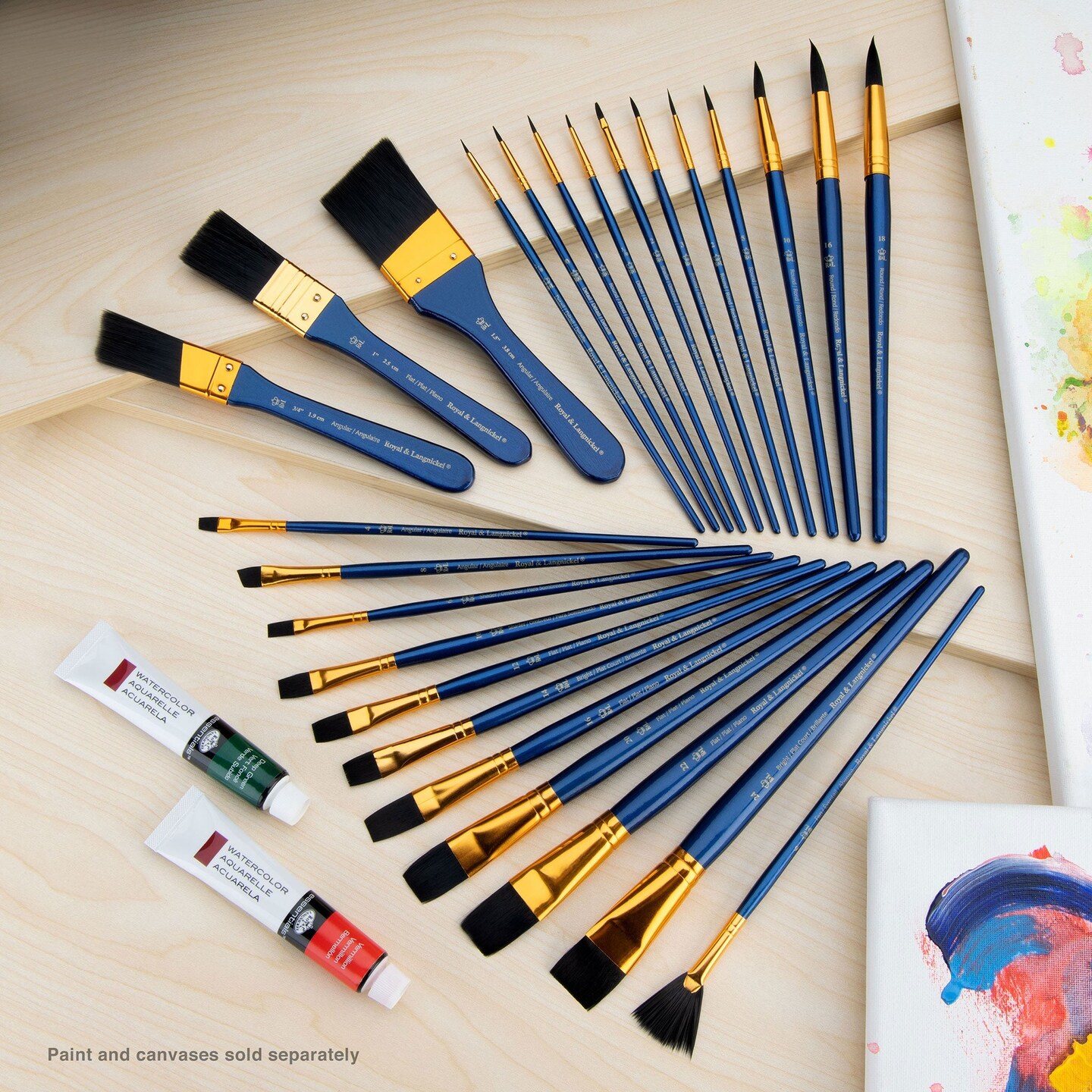 RSET-9383 | 25pc Black Taklon Variety Brush Set