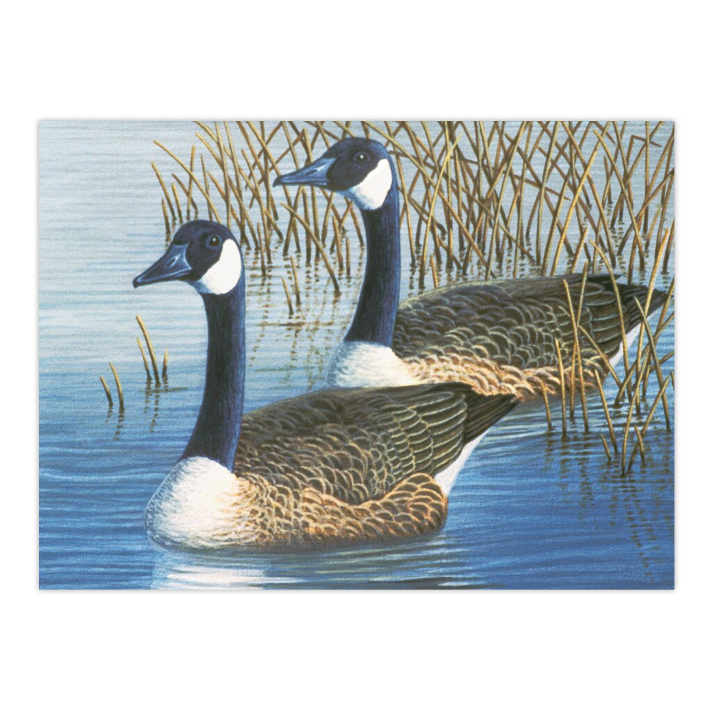 PAL35 | Painting by numbers&#x2122; 13pc 11.25&#x22; x 13.375&#x22; Geese Painting Project