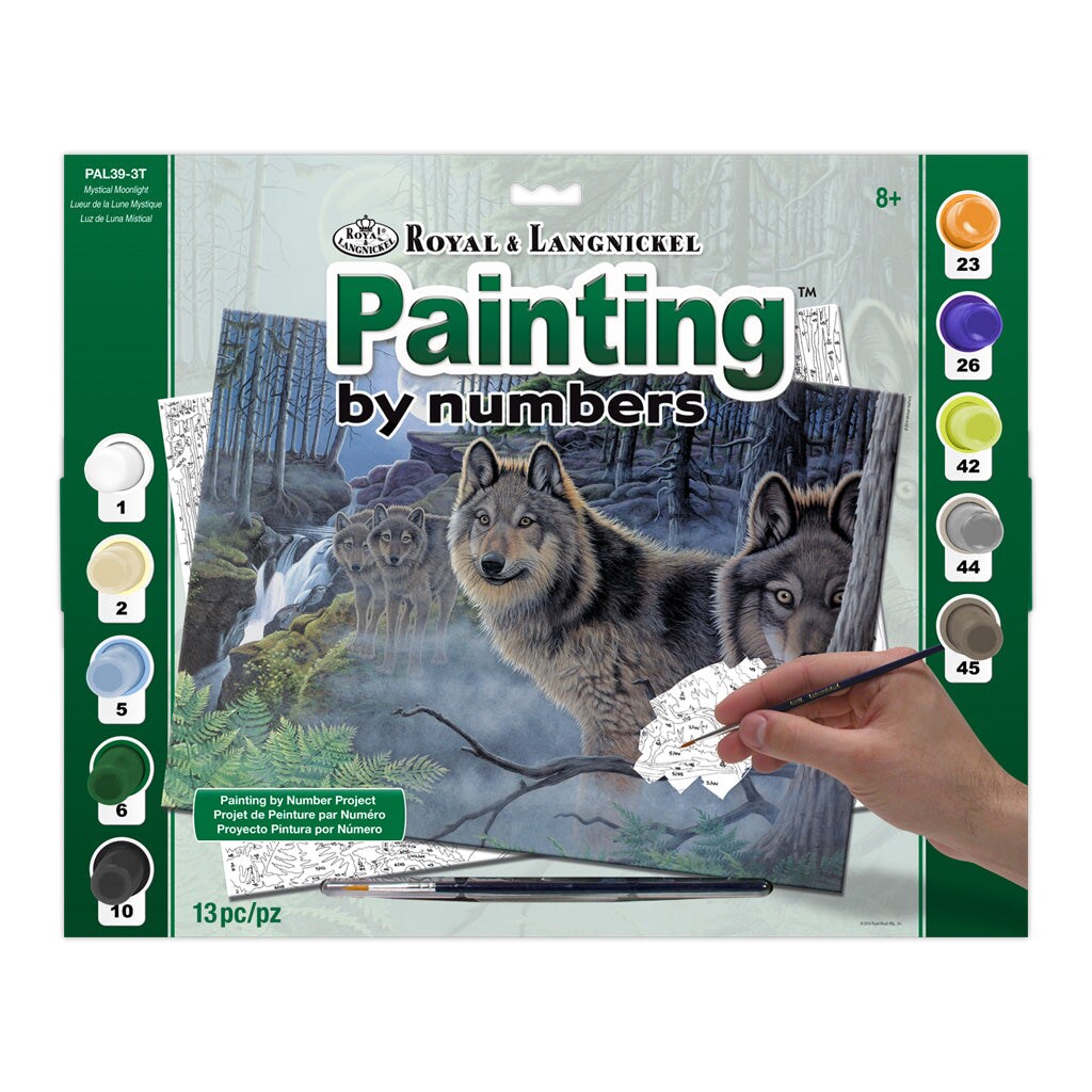 PAL39 | Painting by numbers&#x2122; 13pc 11.25&#x22; x 13.375&#x22; Mystical Moonlight Painting Project