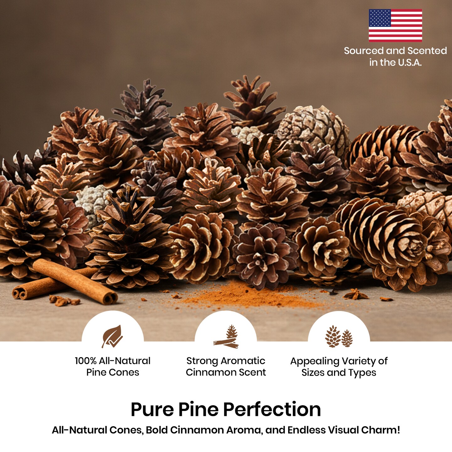 Cinnamon Scented Pinecones Variety 1 lb for Decorating, Over 40 Small Cinnamon Pine Cones for Crafts and Vase Filler Cinnamon Fragrance Pine Cones