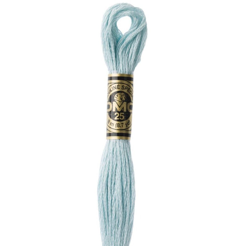 DMC Embroidery Floss, 6-Strand - Turquoise Very Light #3811