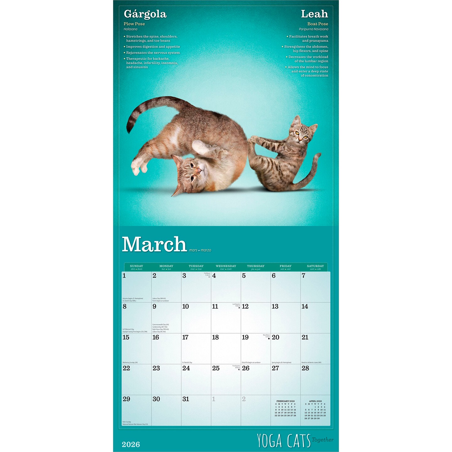 Yoga Cats Together OFFICIAL | 2026 12 x 24 Inch (Hanging) Monthly Square Wall Calendar