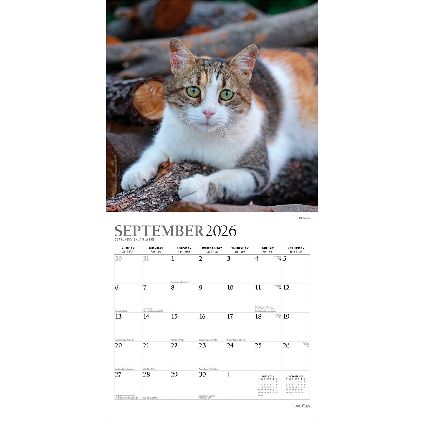 I Love Cats | 2026 12 x 24 Inch (Hanging) Monthly Square Wall Calendar | Foil Stamped Cover
