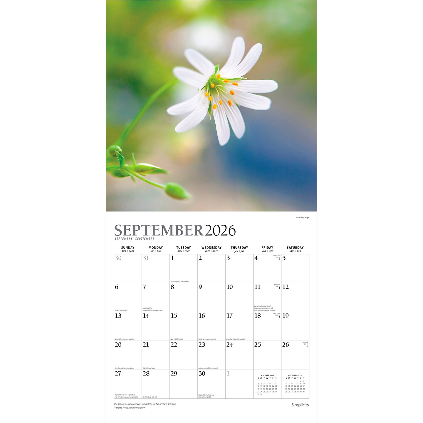 Simplicity | 2026 12 x 24 Inch (Hanging) Monthly Square Wall Calendar | Foil Stamped Cover