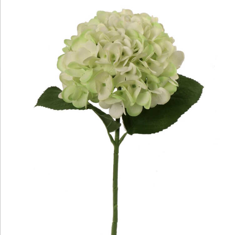 18&#x22; Hydrangea Stem - 6 PACK