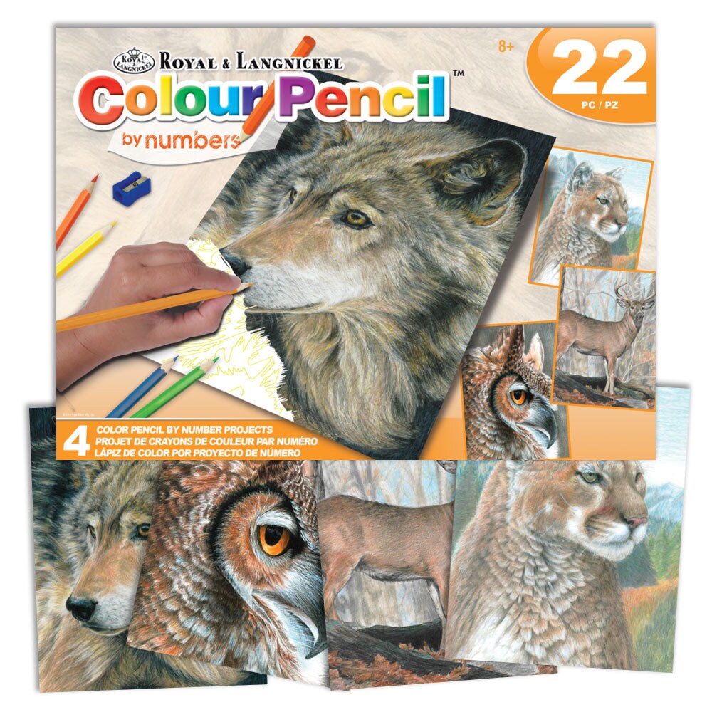 AVS-CPN208 | Colour Pencil by numbers™ 22pc 8" x 10" Wildlife 4 Project Box Set