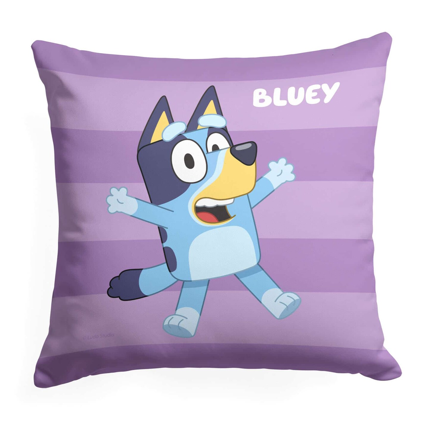 Bluey Roll Call Throw Pillow 18&#xD7;18 Inches